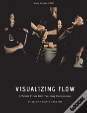 Capa do artigo Visualizing Flow