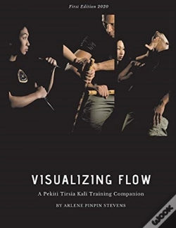 Capa do artigo Visualizing Flow
