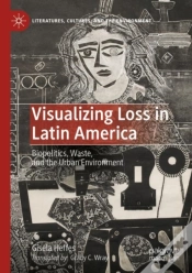 Capa do artigo Visualizing Loss In Latin America