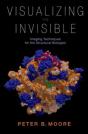Visualizing The Invisible - Preview