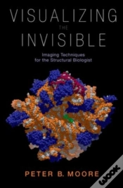 Capa do artigo Visualizing The Invisible