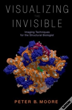 Capa do artigo Visualizing The Invisible