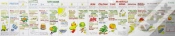 Capa do artigo Vitamin Chart