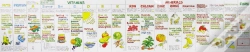 Capa do artigo Vitamin Chart