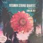 Vitamin String Quartet Performs Lana Del Rey - Vinil - Preview