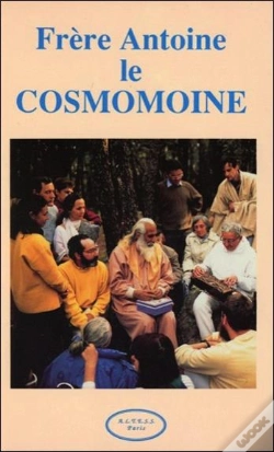Capa do artigo Vitrines