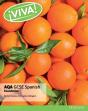 Viva! Aqa Gcse Spanish Foundation Student Book - Preview