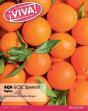 Viva! Aqa Gcse Spanish Higher Student Book - Preview