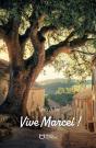 Vive Marcel ! - Preview