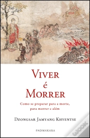 Capa do artigo Viver é Morrer 