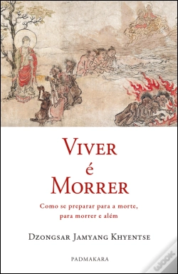 Capa do artigo Viver é Morrer 