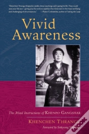Capa do artigo Vivid Awareness