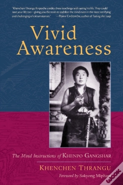 Capa do artigo Vivid Awareness