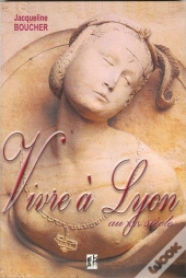 Vivre A Lyon Au Xvi Siecle