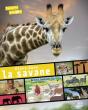 Vivre Dans La Savane - Preview