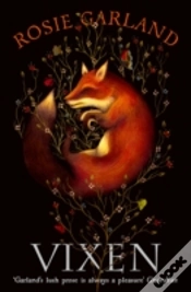 Capa do artigo Vixen