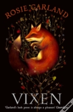 Capa do artigo Vixen