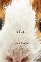 Capa do artigo Vlarf