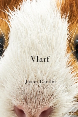Capa do artigo Vlarf