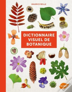 Capa do artigo Vocabulaire Botanique Illustre