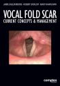 Vocal Fold Scar - Preview