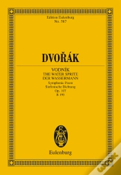 Capa do artigo Vodník - The Watersprite