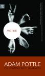 Voice - Preview