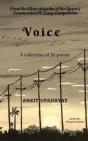 Voice - Preview