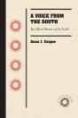 Voice From The South - Preview