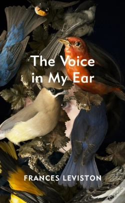 Capa do artigo Voice In My Ear