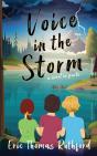 Voice In The Storm - Preview