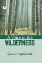 Voice In The Wilderness - Preview