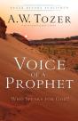 Voice Of A Prophet Â€“ Who Speaks For God? - Preview
