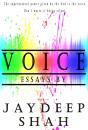 Voice - Preview