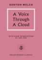 Voice Through A Cloud - Preview