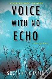 Capa do artigo Voice With No Echo