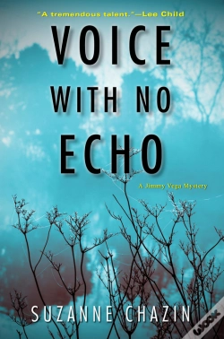 Capa do artigo Voice With No Echo