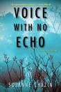 Voice With No Echo - Preview