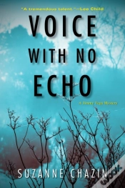 Capa do artigo Voice With No Echo