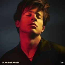 Capa do artigo Voicenotes - CD