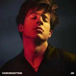 Capa do artigo Voicenotes - Vinil