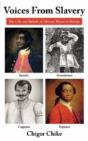 Voices From Slavery - Preview