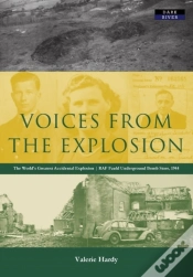 Capa do artigo Voices From The Explosion