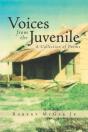Voices From The Juvenile - Preview