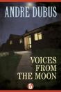 Voices From The Moon - Preview