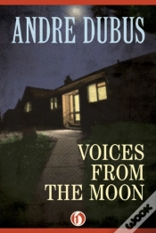 Capa do artigo Voices From The Moon