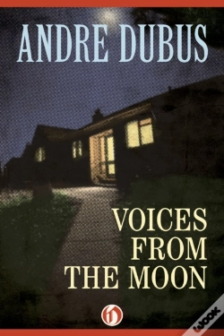 Capa do artigo Voices From The Moon