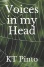 Voices In My Head - Preview