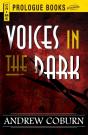 Voices In The Dark - Preview