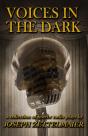 Voices In The Dark - Preview